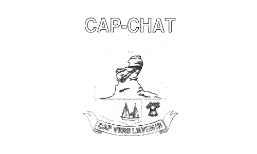 Cap_Chat